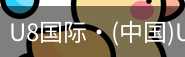 U8国际